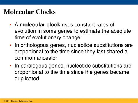 Full Download Molecular Clocks Study Guide Answer Key 