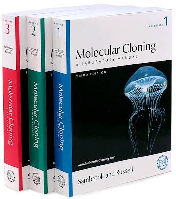 Read Molecular Cloning A Laboratory Manual Sambrook Russell 