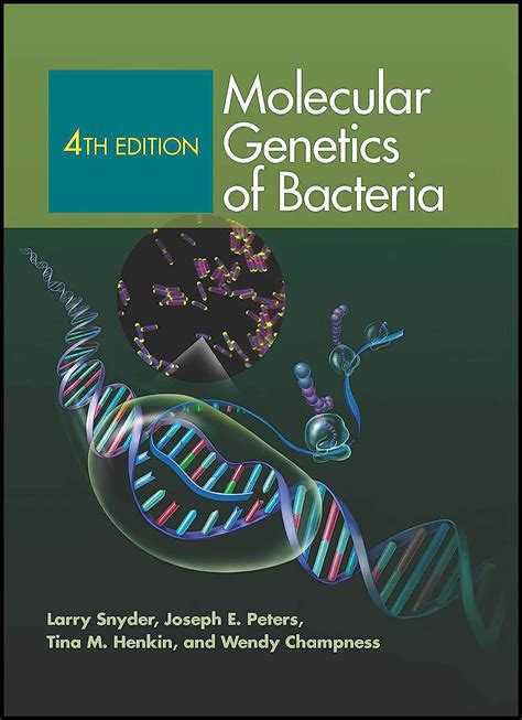 Read Molecular Genetics Of Bacteria 4Th Edition Snyder 