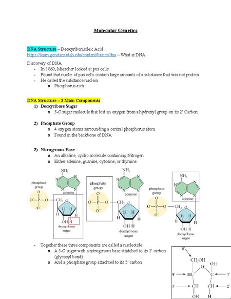Full Download Molecular Genetics Subjective Questions And Answers 