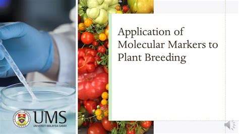 Download Molecular Markers In Plant Breeding Horticultural Sciences 