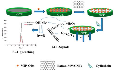 Molecularly Imprinted Electrochemiluminescence Sensor Based On Zif 8 Doped With Cdse Quantum Dots For The Detection Of Trace Estriol - Cuan 4d