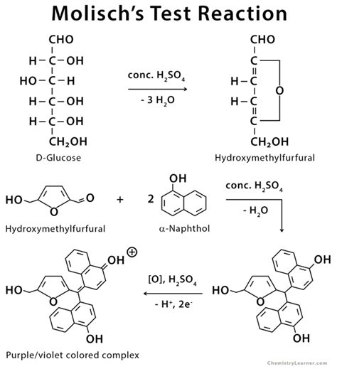 Molisch Test Principle