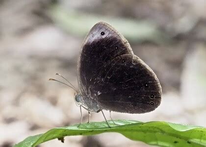 nature photo by Aiden Jacobs