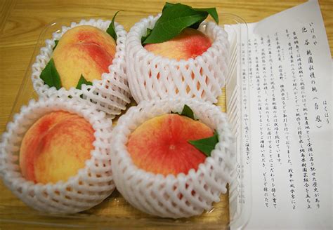 momo17 | Momo17 Terlengkap Harga Terbaik Tokopedia