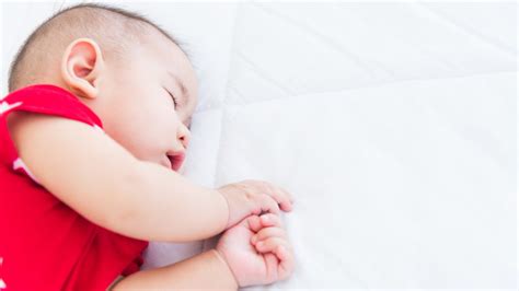 Moms Boycott Popular Baby Sleep Expert For Donating Video Cara Membuat Donat Kentang - Video Cara Membuat Donat Kentang