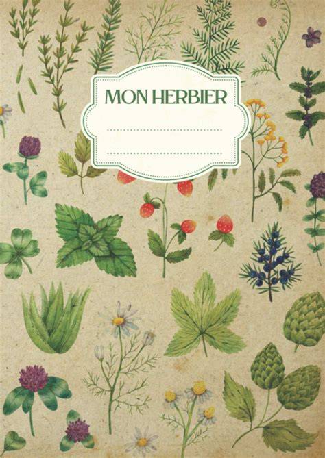 mon herbier journal pour collection de feuilles s