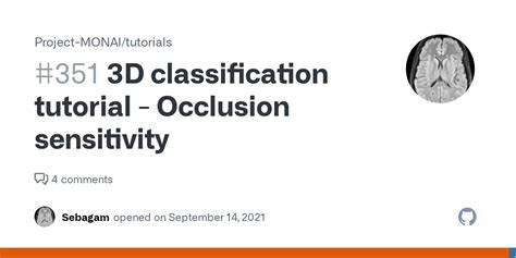 Monai 3d Patch Classification