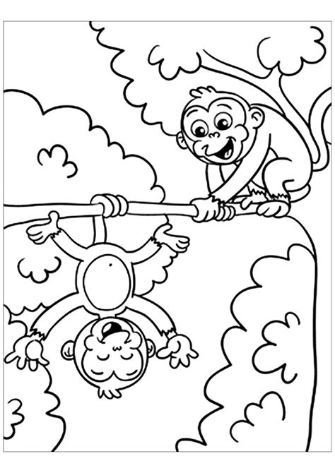 Monkey Colouring Pages Activity Village Colouring Picture Of Monkey - Colouring Picture Of Monkey