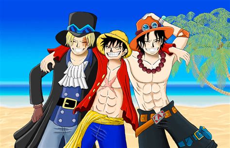 Monkey D Luffy Brother
