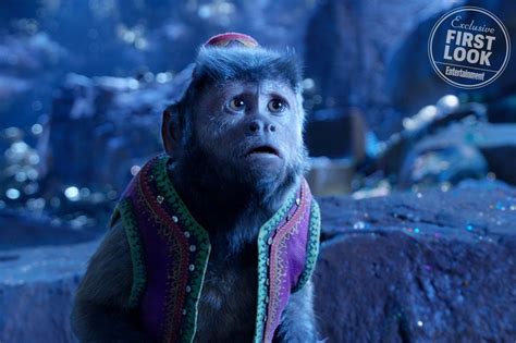 Monkey From Aladdin