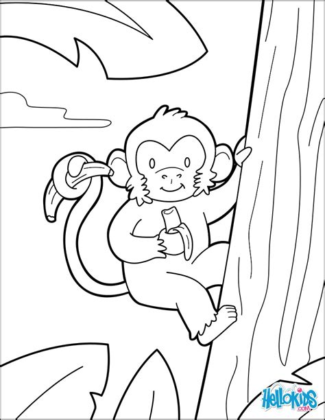 Monkey Picture Coloring Pages Hellokids Com Colouring Picture Of Monkey - Colouring Picture Of Monkey