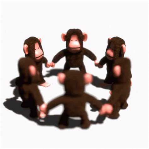 monkey spins