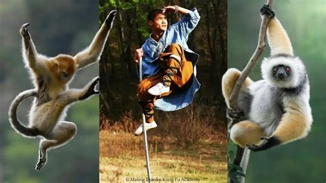 Monkey Style Kung Fu Techniques