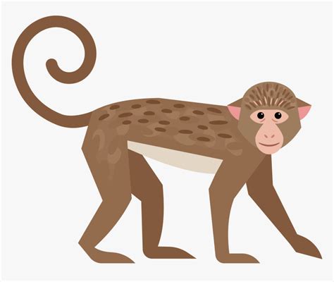 monkey tail clipart