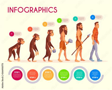 Monkey To Man Evolution Chart