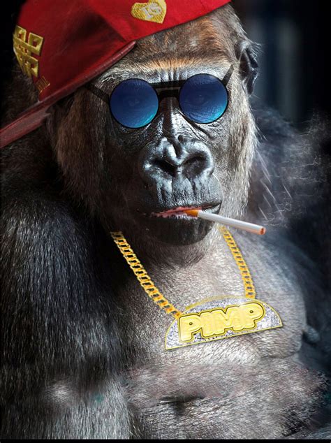 Monkey.cool''