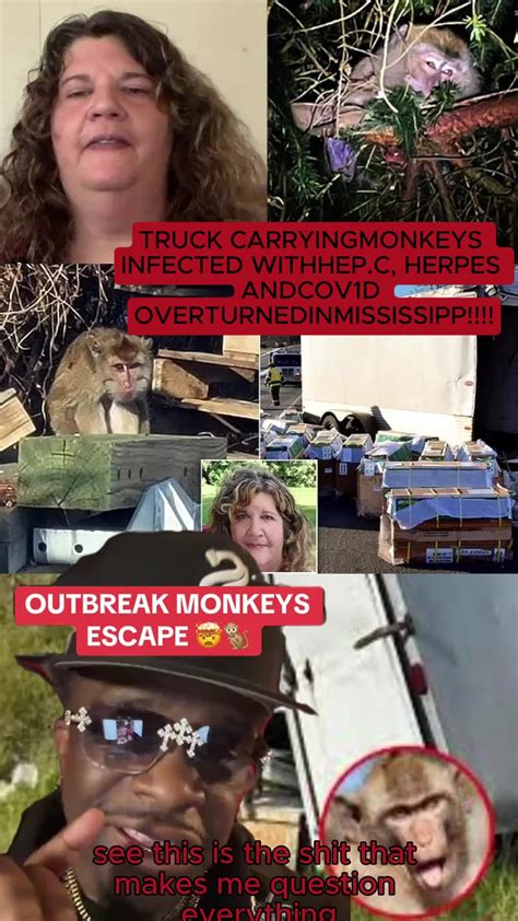 monkeys mississippi