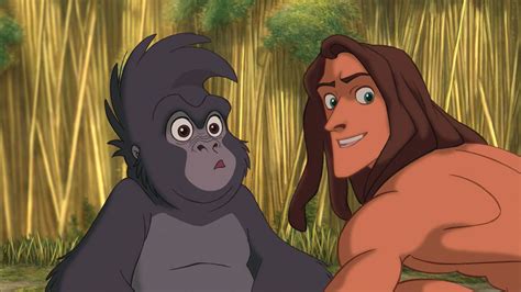 Mono De Tarzan