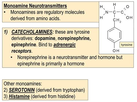 Monoamine