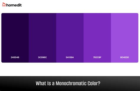 monochrome colors