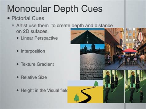 Monocular Depth Cues