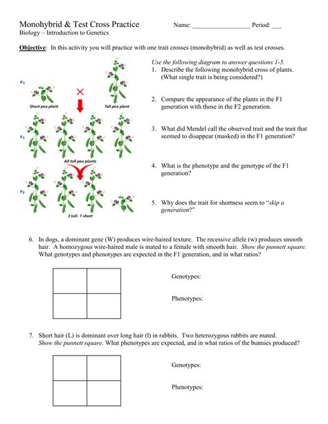 Monohybrid Cross Practice Use This Chart To Answer Punnett Square Worksheet Answers Key Biology - Punnett Square Worksheet Answers Key Biology