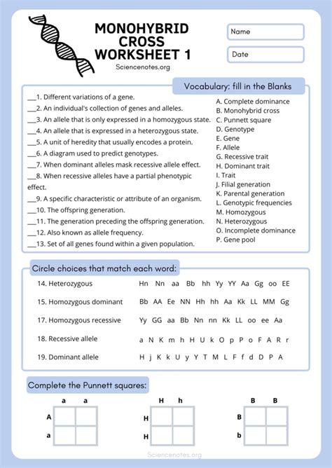 monohybrid cross worksheet 1 answer key