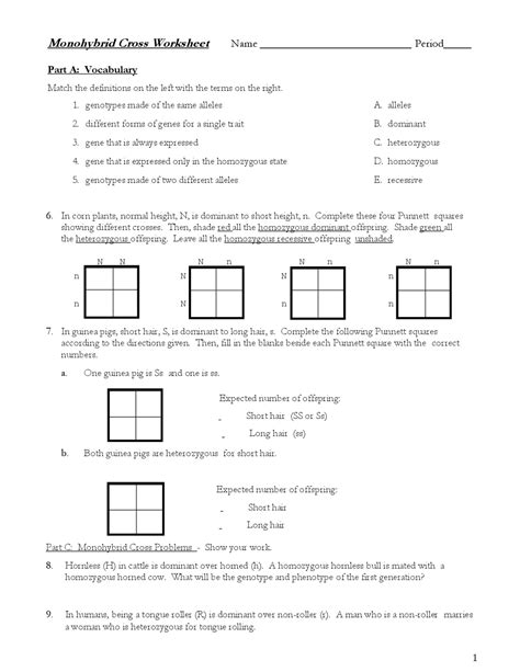 Monohybrid Cross Worksheet Answer Key