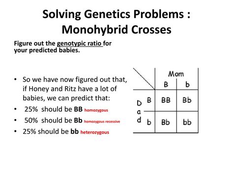 Monohybrid Genetics Problems