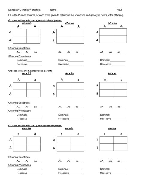 Monohybrid Genetics Problems Answer Key