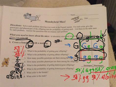 Monohybrid Mice