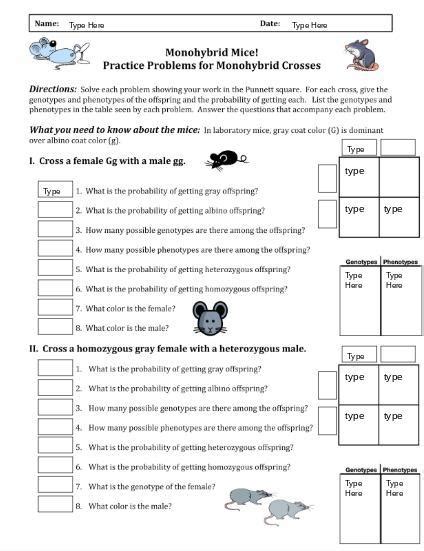 Monohybrid Mice Answer Key