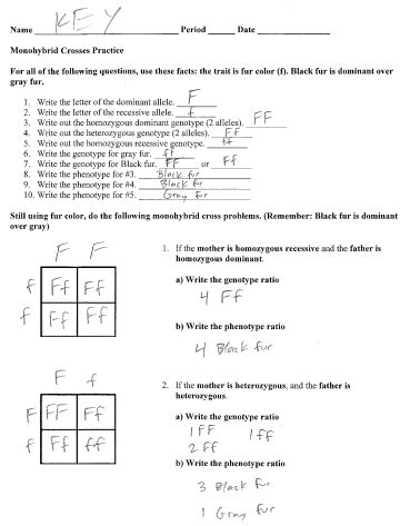 Monohybrid Practice Answer Key