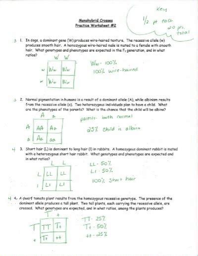 Monohybrid Practice Problems Answer Key