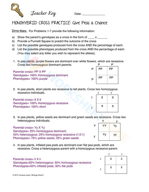 Monohybrid Practice Problems Answers