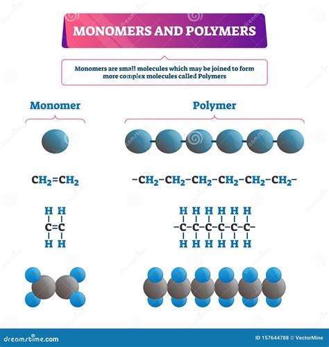 Monomer Vs Polymer