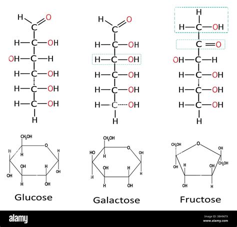 Monosaccharide Examples