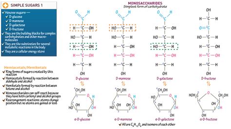 Image related to monosaccharide-examples