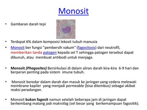 monosit tinggi menandakan apa