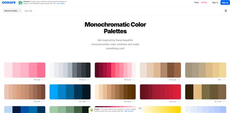 monotone color
