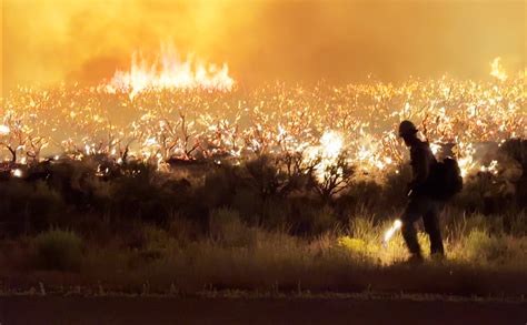 monroe fire utah