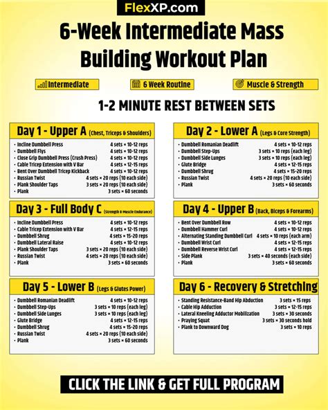 Monster Mass Workout Plan