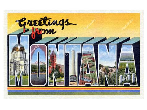 Montana Greetings From Montana Large Letter Postcard State Montana State Flower Coloring Page - Montana State Flower Coloring Page