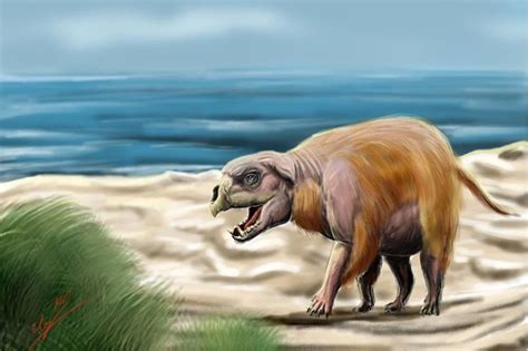 Montauk Monster Image