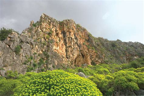 Monte Carmelo Israel