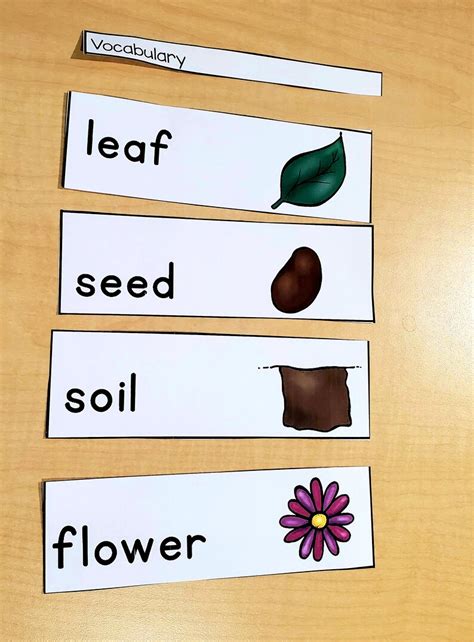 Montessori Botany Mastery Worksheets Types Parts Of Plants Types Of Leaves Worksheet - Types Of Leaves Worksheet