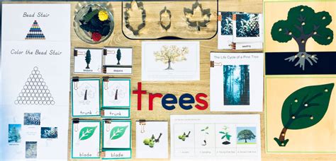 Montessori Tree Activities For Preschoolers Happy Homeschool Adventures Montessori Math Activities For Preschoolers - Montessori Math Activities For Preschoolers
