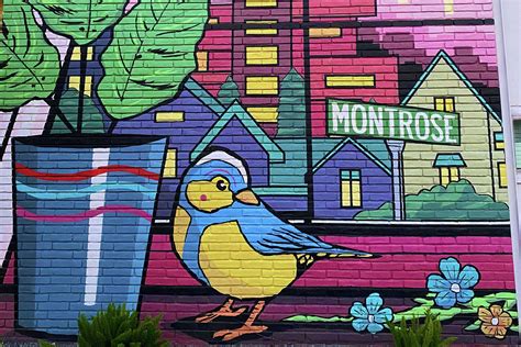 montrose texas
