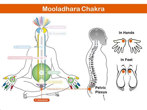 Mooladhara Chakra Activation